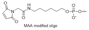 Bio-Synthesis Inc. Oligo Structure