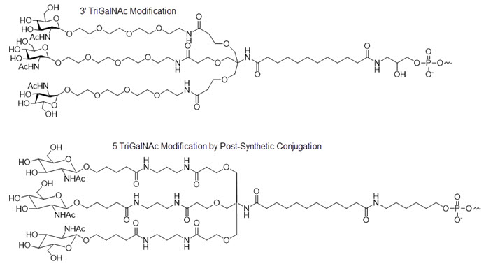 Bio-Synthesis Inc. Oligo Structure