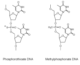 Oligo internucleotide linkage and modifications